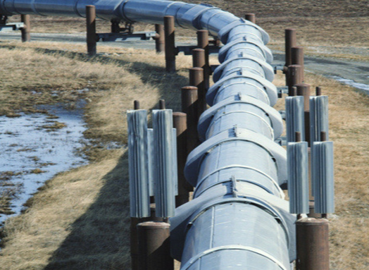 ��ڏ����P䓹��I(y��)���